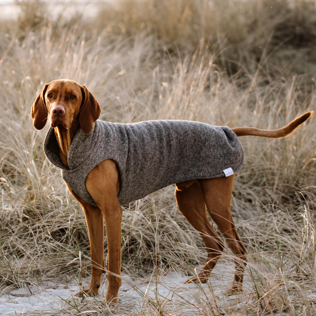 Hundepullover CosyShirt stay warm Strickfleece taupe meliert