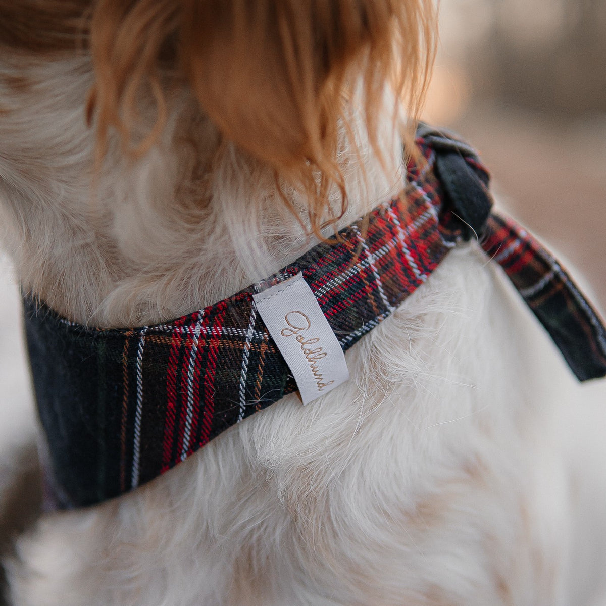 Sale Hundehalstuch Schneeflocken dunkelblau kariert diverse Größen