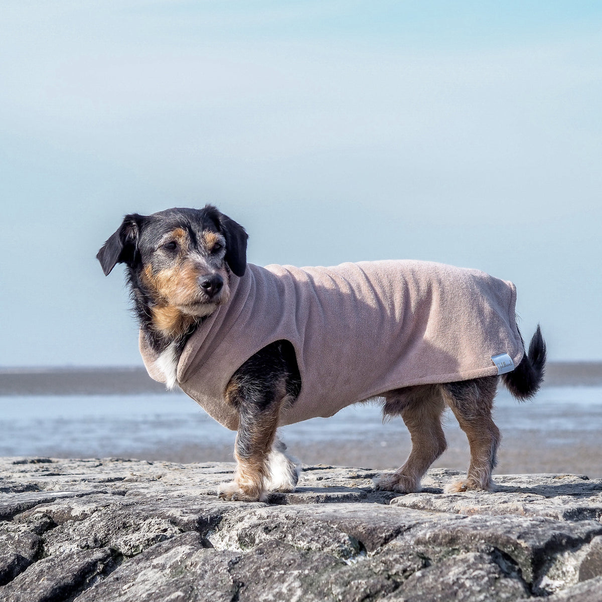 Hundebademantel CosyShirt dry mocha
